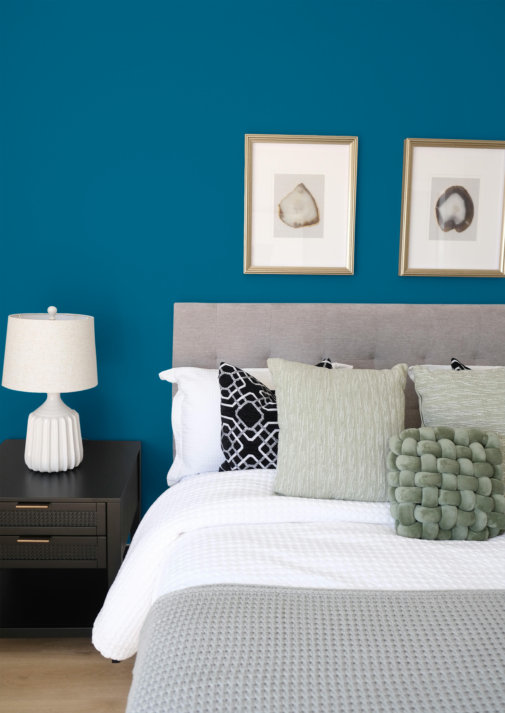 Agrion - Peinture biosourcée murs et plafonds