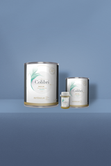 Roy - Peinture biosourcée murs et plafonds