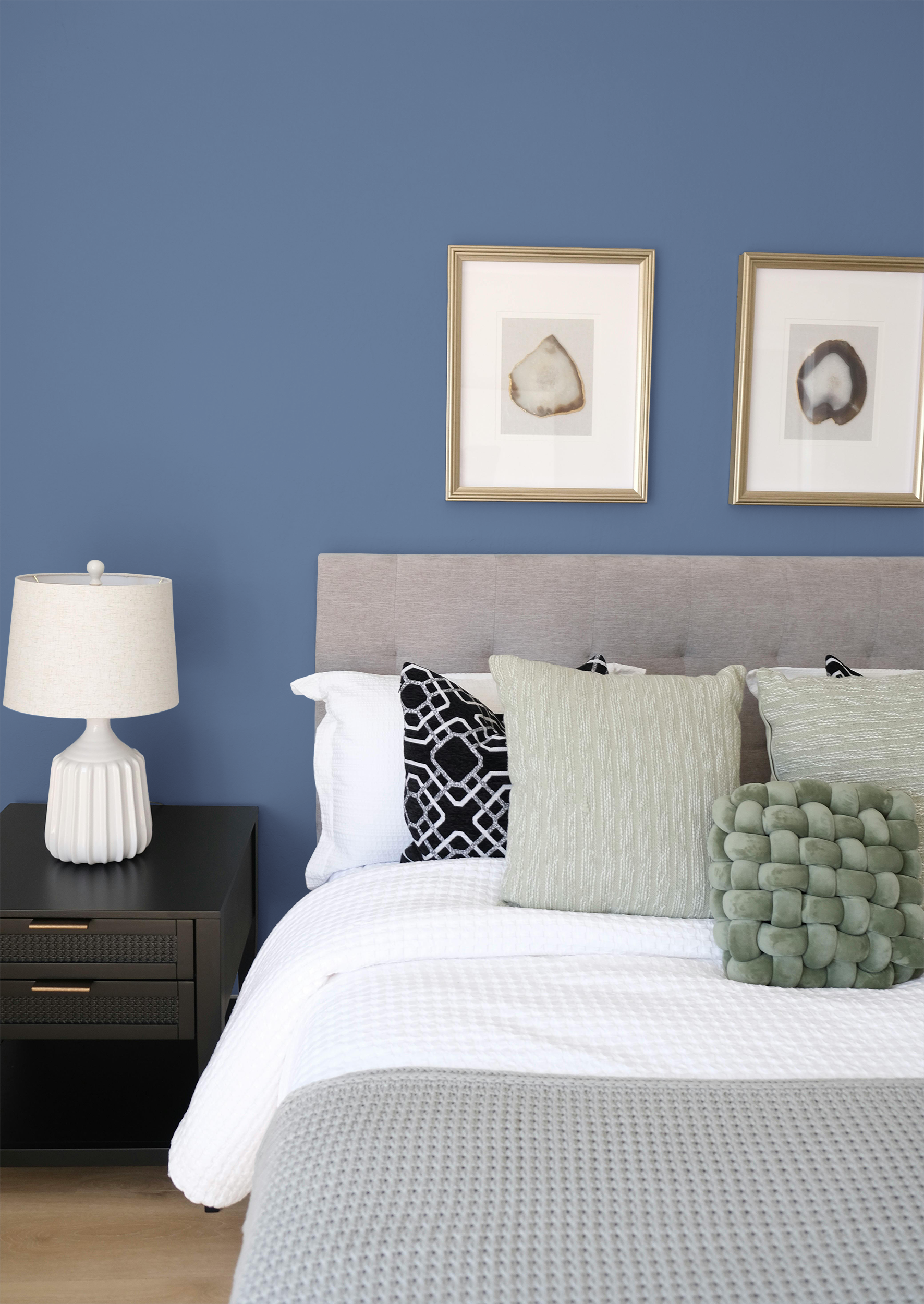 Roy - Peinture biosourcée murs et plafonds