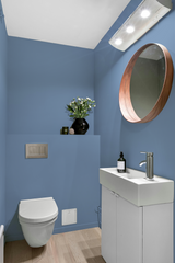 Roy - Peinture biosourcée murs et plafonds