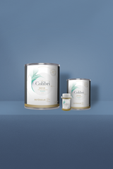 Deguesde - Peinture biosourcée murs et plafonds