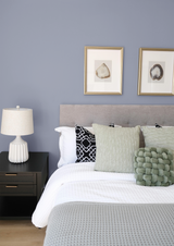 Flocon - Peinture biosourcée murs et plafonds