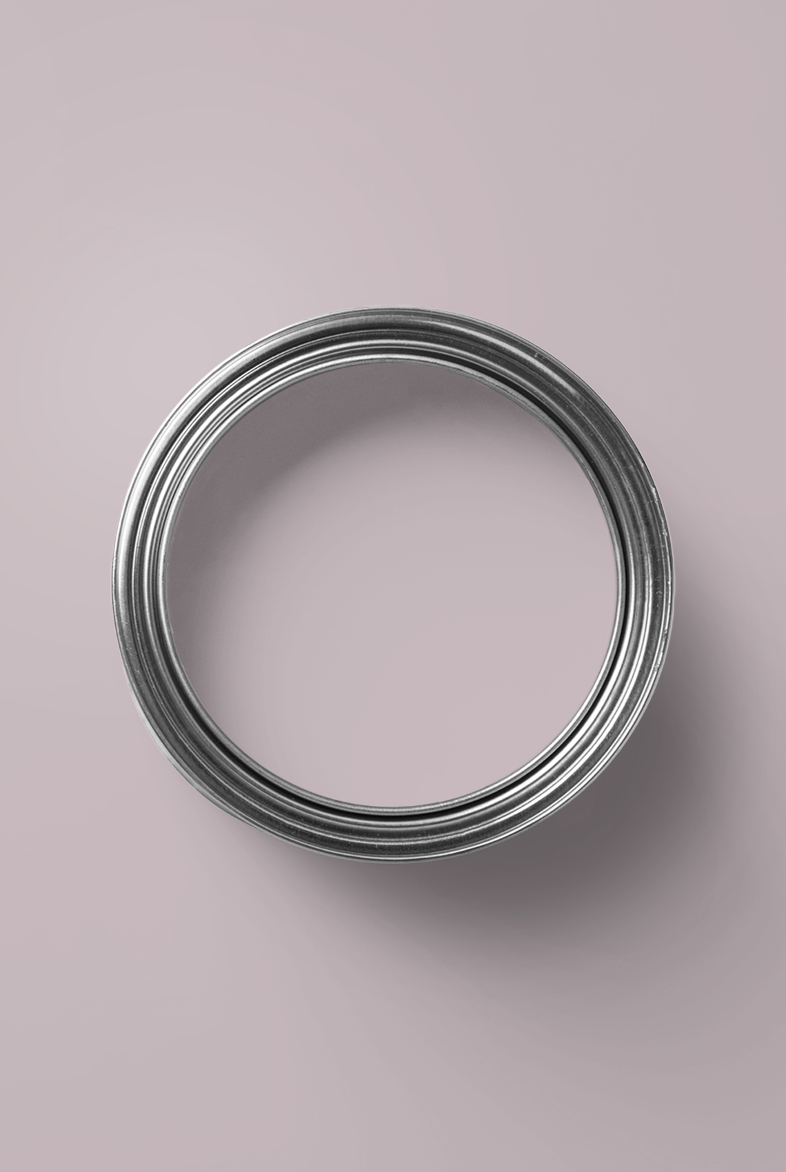 Malvacée - Peinture biosourcée murs et plafonds