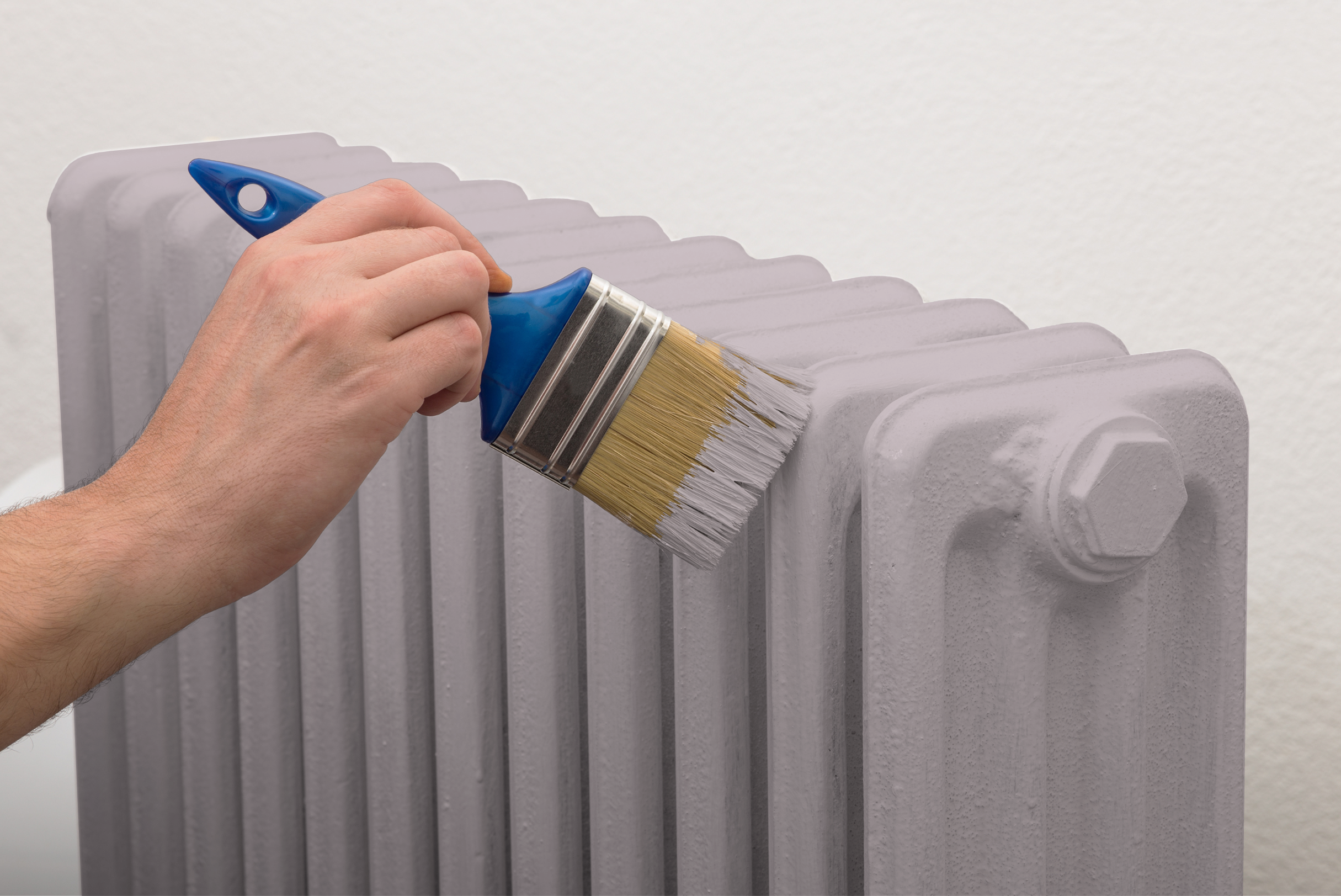 Malvacée - Laque biosourcée bois et métal