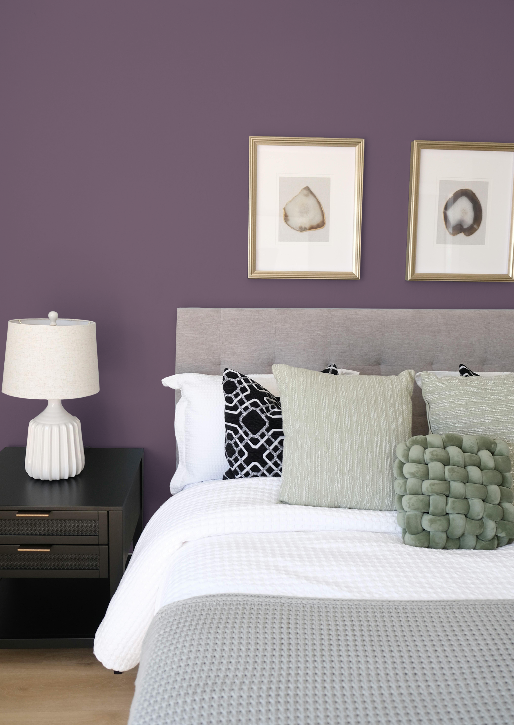 Renoncule - Peinture biosourcée murs et plafonds