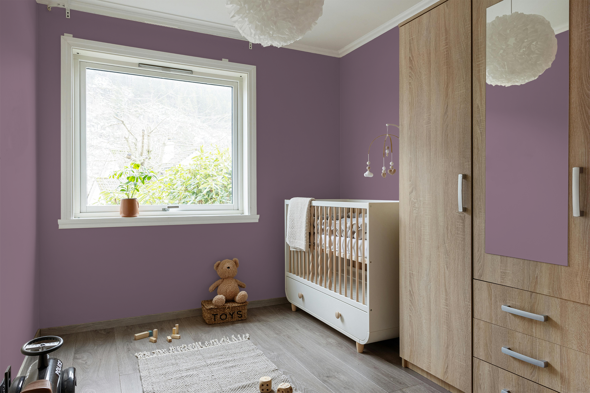 Renoncule - Peinture biosourcée murs et plafonds