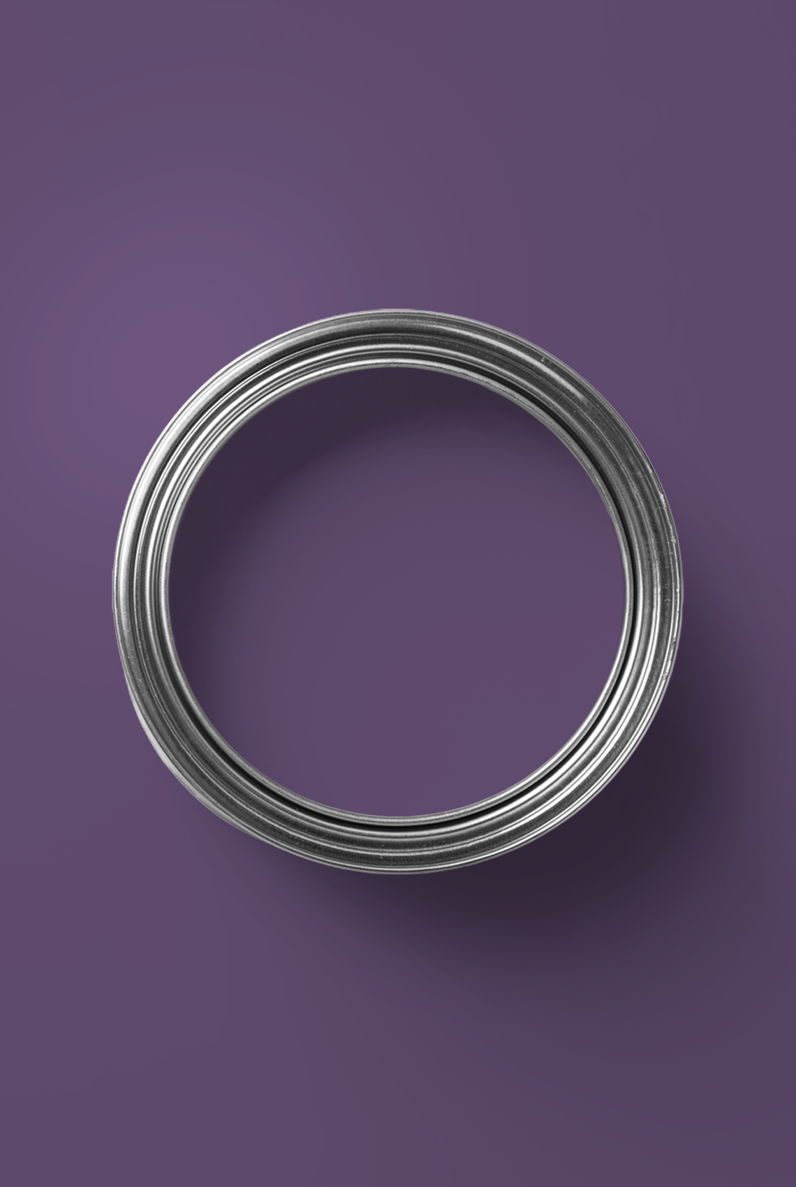 Violine - Peinture biosourcée murs et plafond