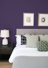 Violine - Peinture biosourcée murs et plafond