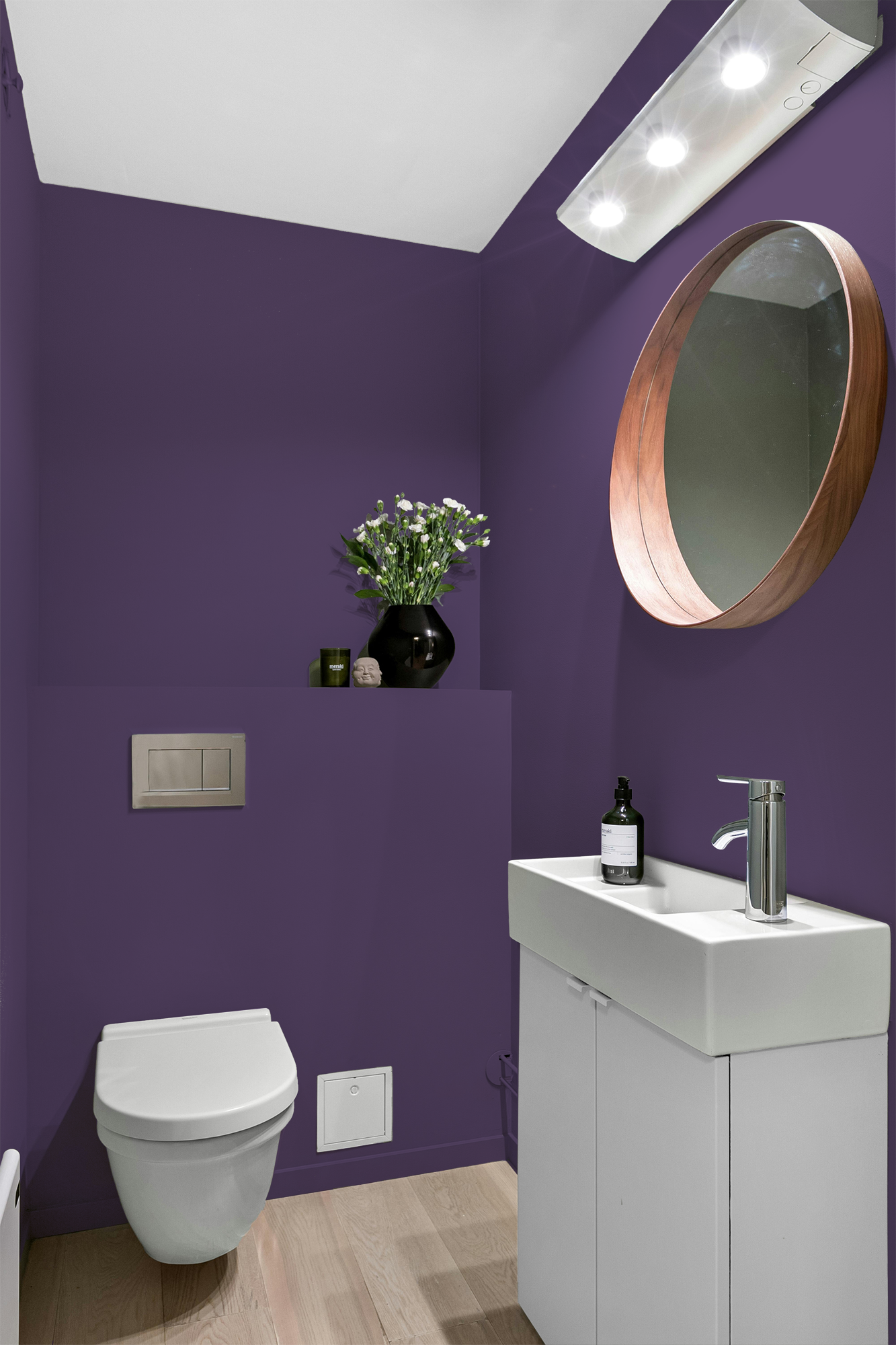 Violine - Peinture biosourcée murs et plafond