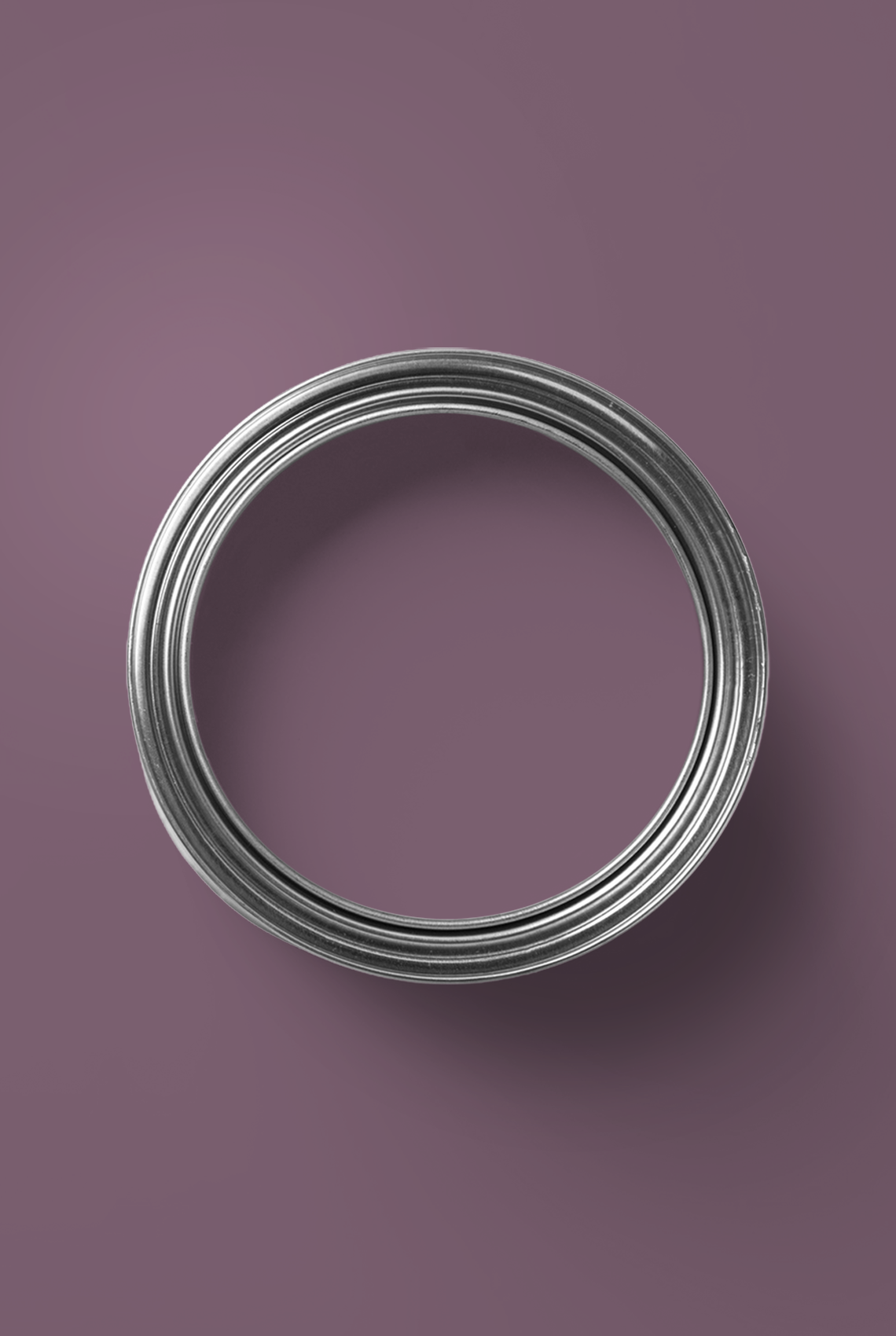 Hortensia - Peinture biosourcée murs et plafond