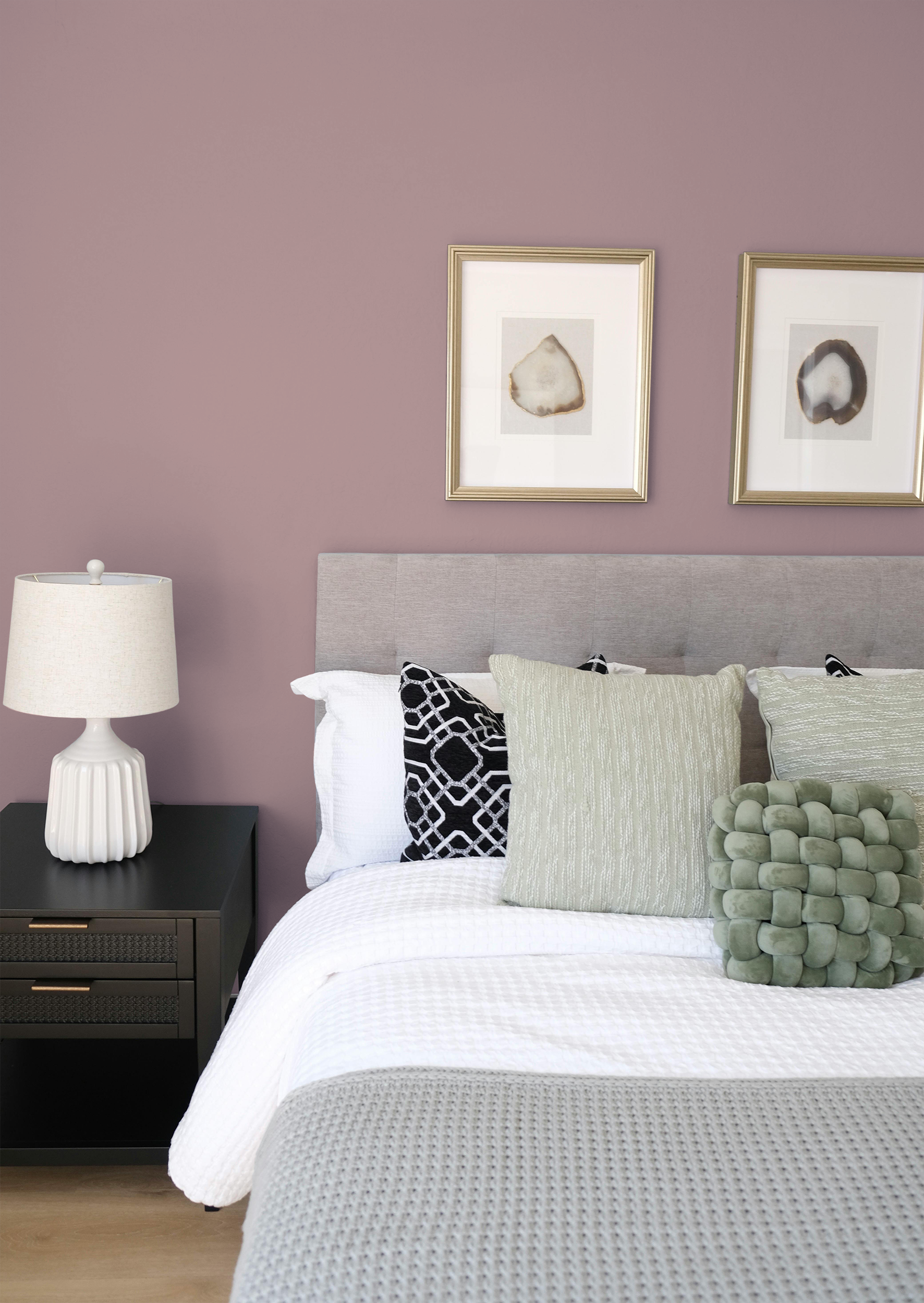 Rosado - Peinture biosourcée murs et plafonds