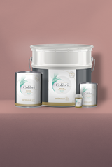 Blusher - Peinture biosourcée murs et plafonds