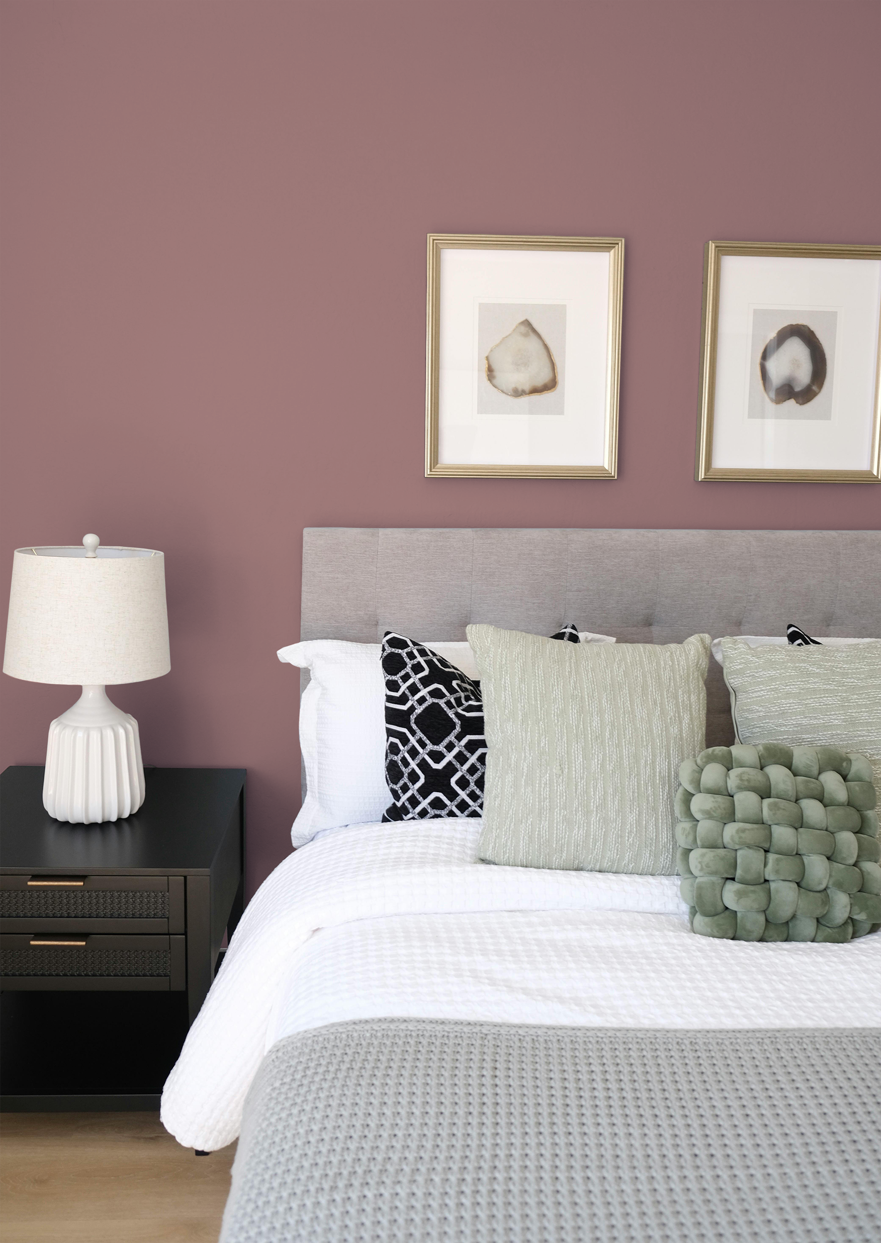 Blusher - Peinture biosourcée murs et plafonds