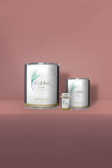 Ahoa - Peinture biosourcée murs et plafonds