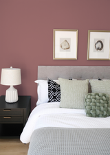 Ahoa - Peinture biosourcée murs et plafonds