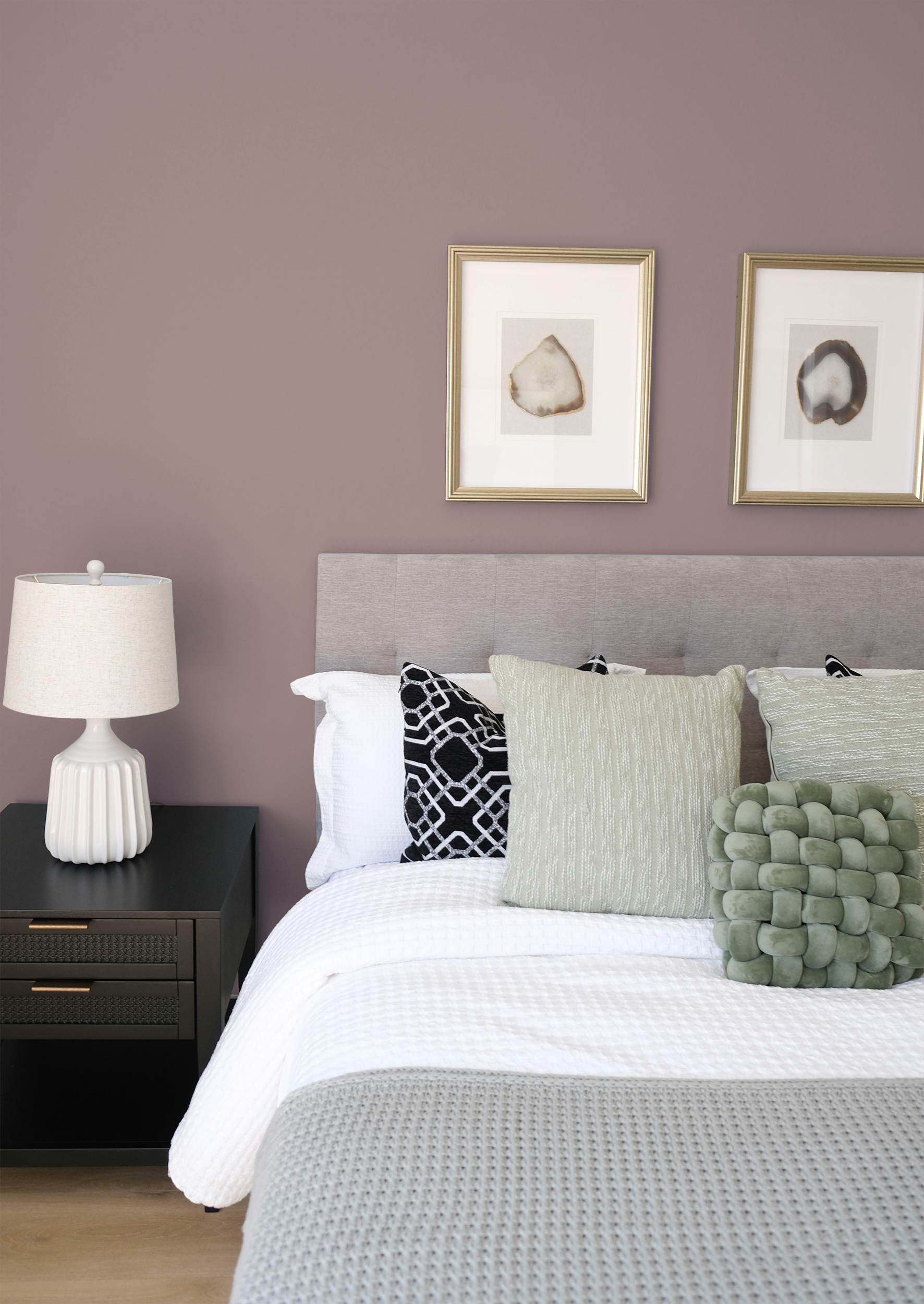 Désert - Peinture biosourcée murs et plafonds