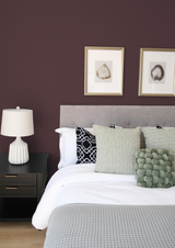 Canyon - Peinture biosourcée murs et plafonds