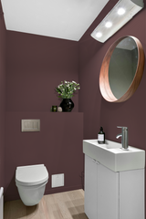 Canyon - Peinture biosourcée murs et plafonds