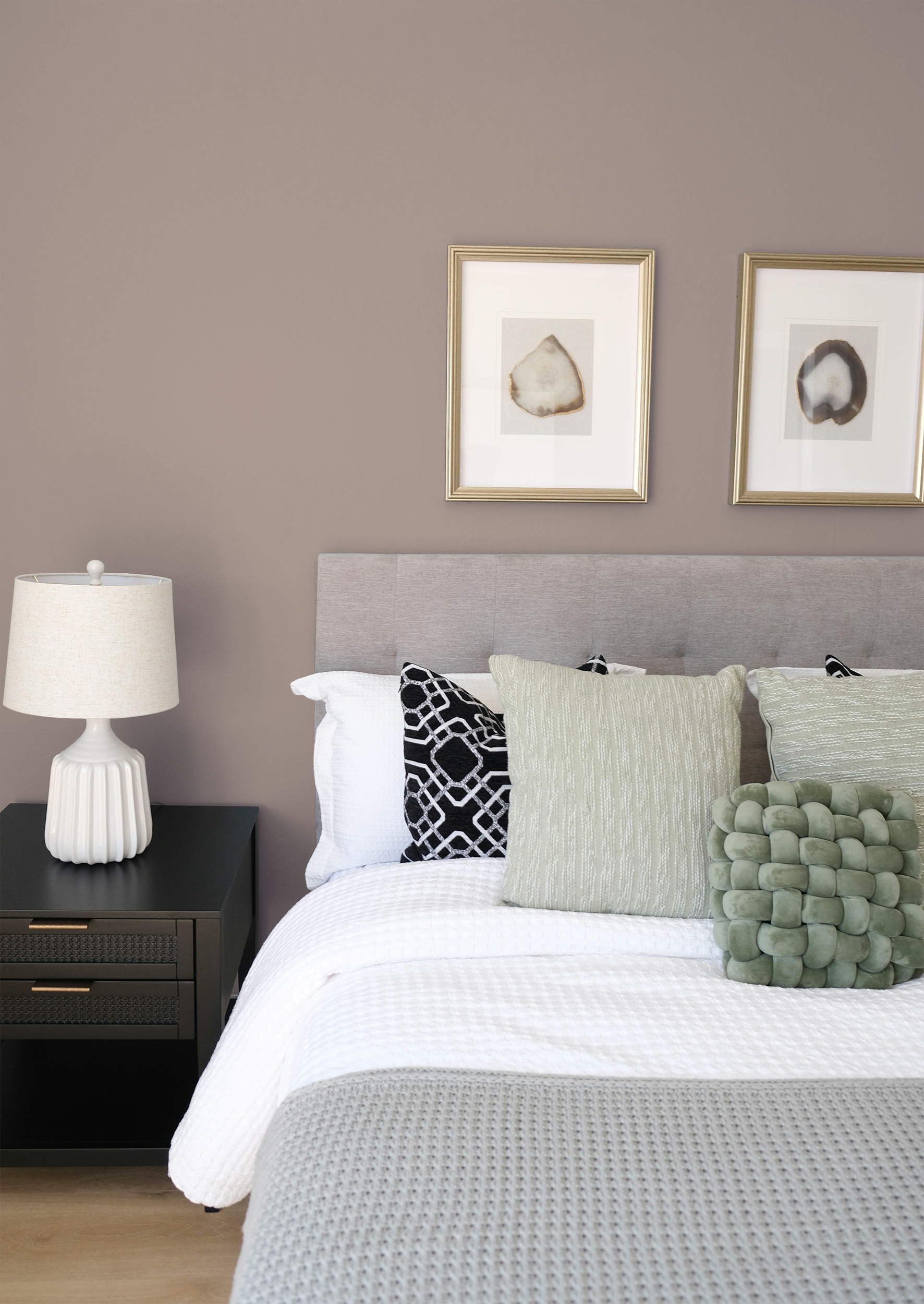 Rotin - Peinture biosourcée murs et plafonds