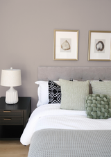 Latte - Peinture biosourcée murs et plafonds