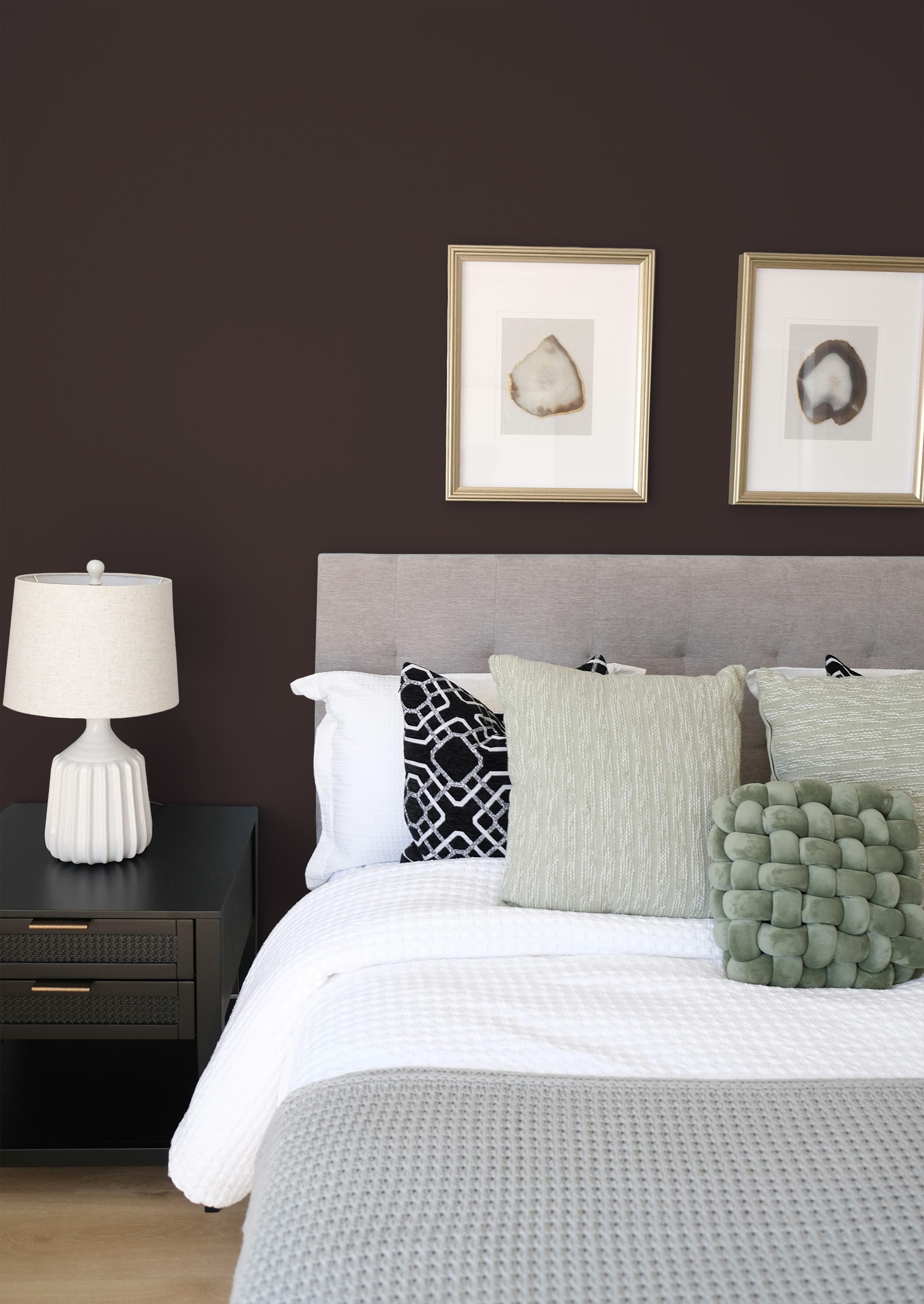 Fève- Peinture biosourcée murs et plafonds