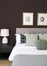 Fève- Peinture biosourcée murs et plafonds