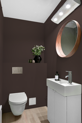 Fève- Peinture biosourcée murs et plafonds