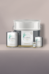 Duo - Peinture biosourcée murs et plafonds