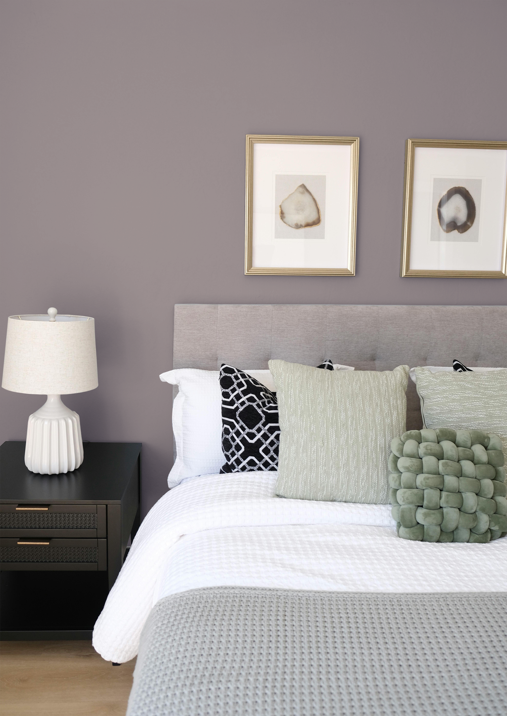 Ceste - Peinture biosourcée murs et plafonds