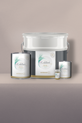 Vanillier - Peinture biosourcée murs et plafond