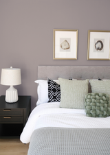 Vanillier - Peinture biosourcée murs et plafond