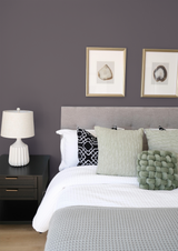 Epave - Peinture biosourcée murs et plafonds