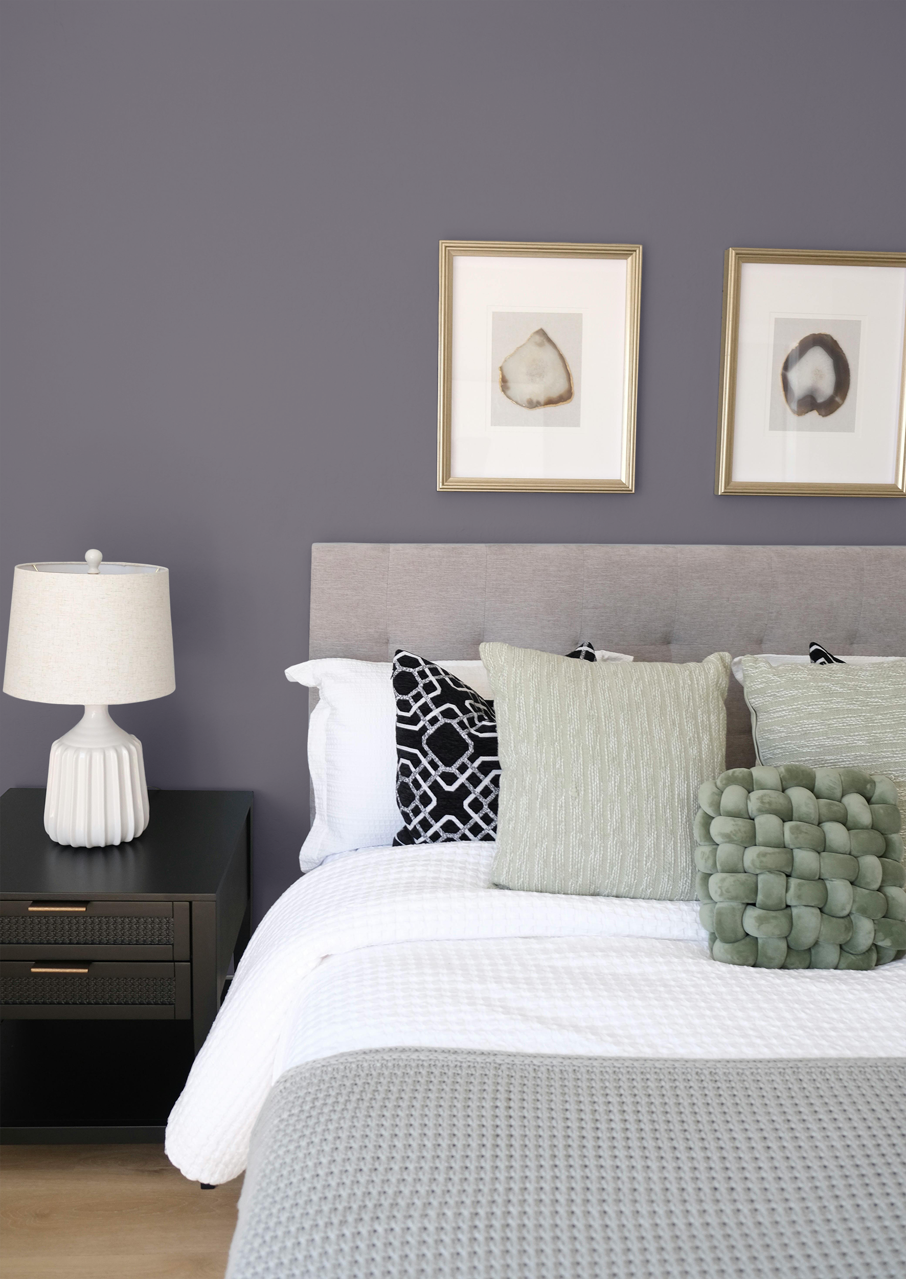 Angora - Peinture biosourcée murs et plafonds