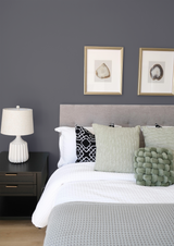 Chromium - Peinture biosourcée murs et plafonds