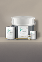 Mustang - Peinture biosourcée murs et plafonds