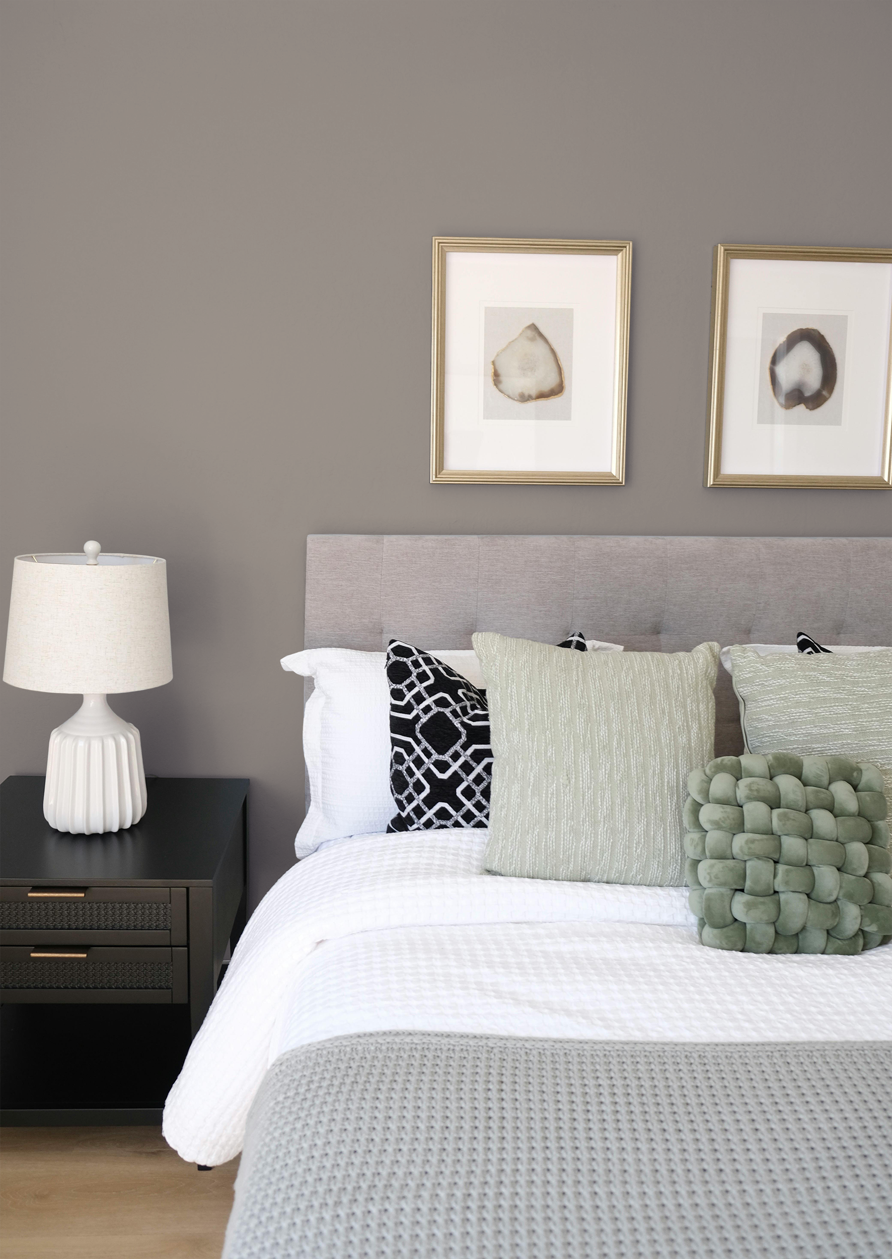 Mustang - Peinture biosourcée murs et plafonds