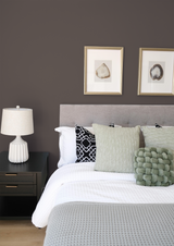 Alezan - Peinture biosourcée murs et plafonds