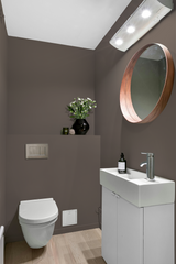 Alezan - Peinture biosourcée murs et plafonds