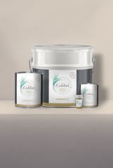 Breuil - Peinture biosourcée murs et plafonds