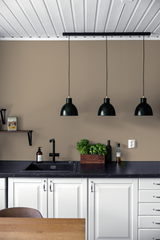 Savane - Peinture biosourcée murs et plafonds