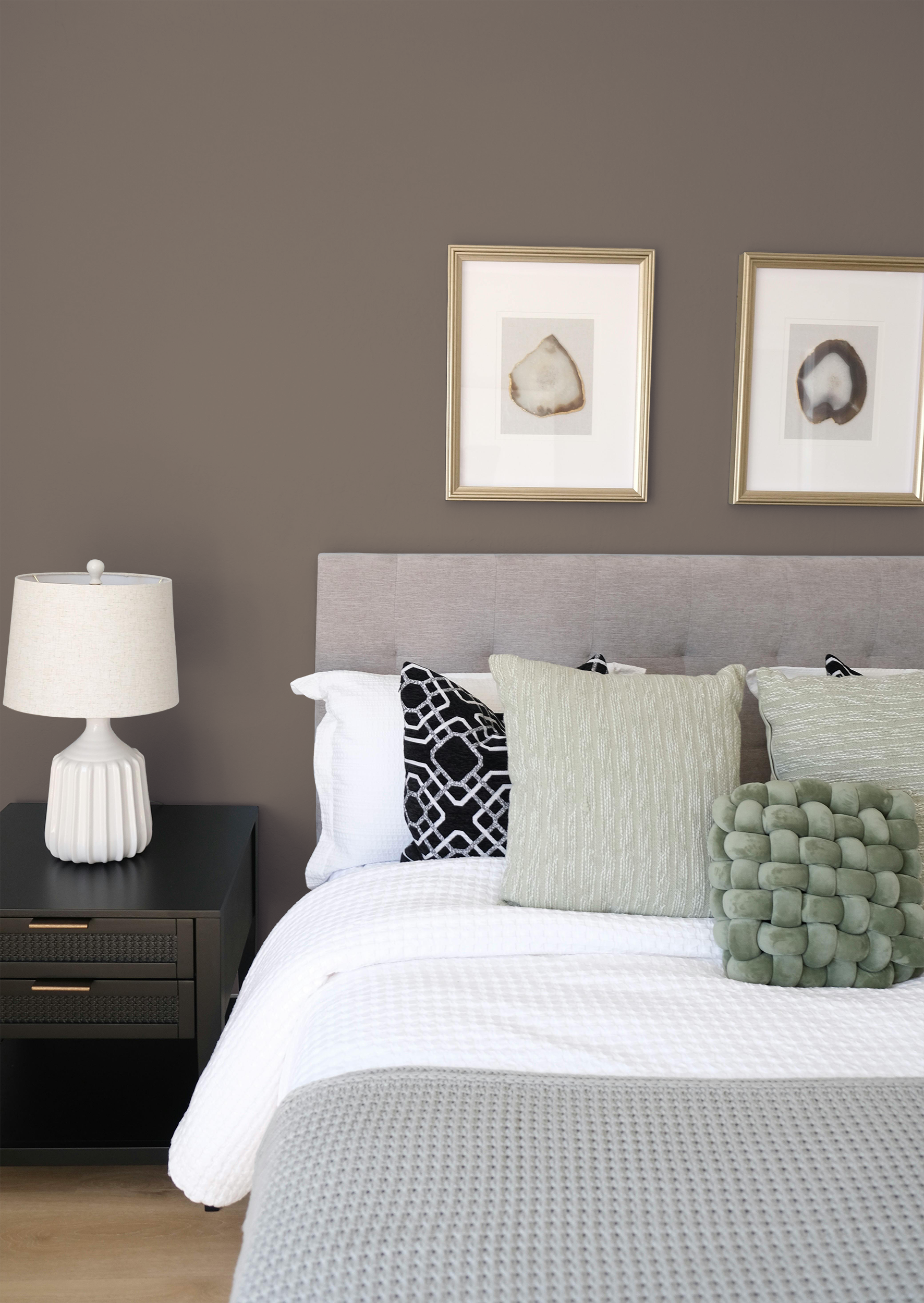 Maquis - Peinture biosourcée murs et plafonds