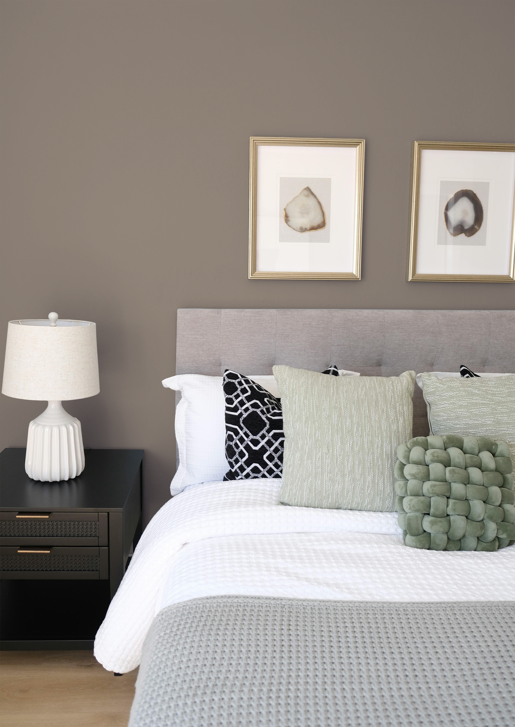 Pinède - Peinture biosourcée murs et plafonds