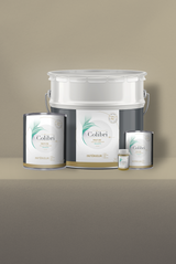 Castets - Peinture biosourcée murs et plafonds