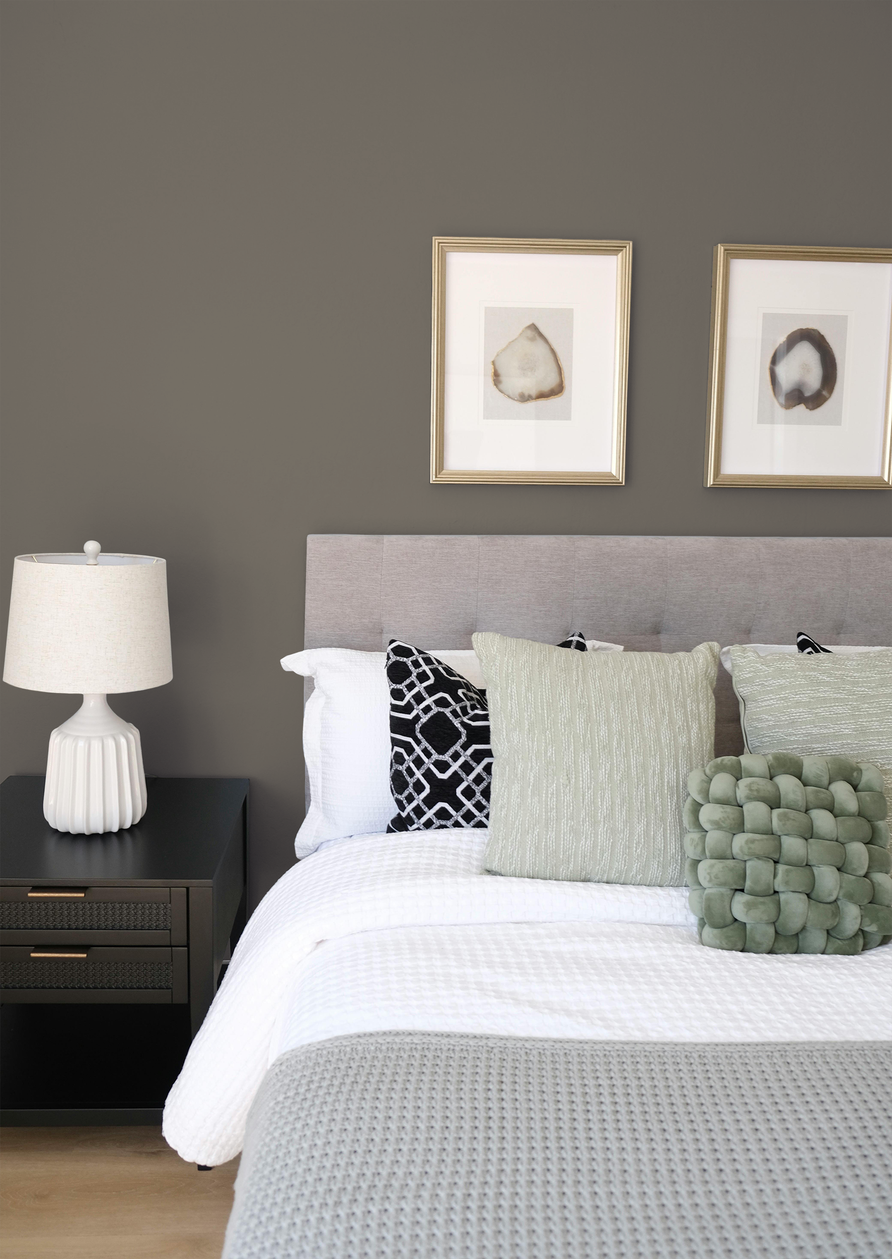 Clairière - Peinture biosourcée murs et plafonds