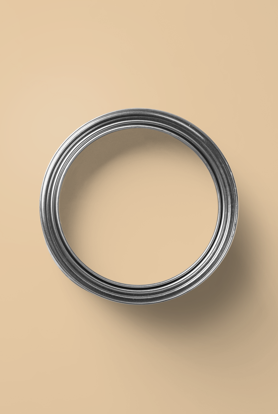 Seigle - Peinture biosourcée murs et plafonds