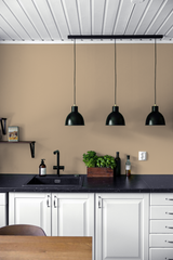 Seigle - Peinture biosourcée murs et plafonds