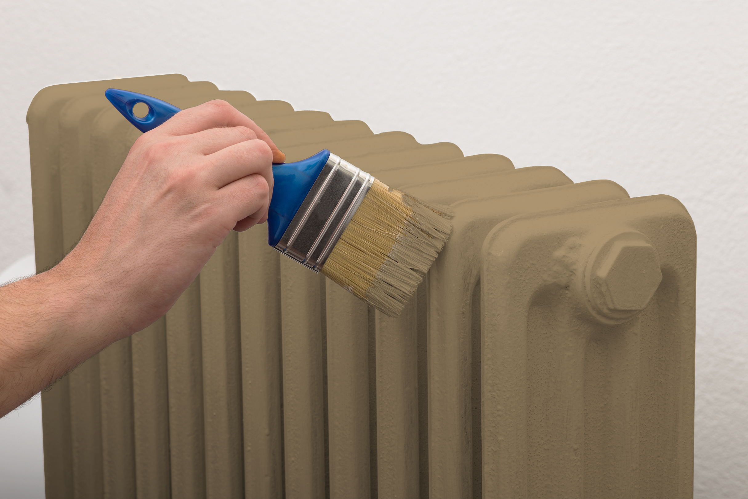 Sarrasin - Laque biosourcée bois et métal