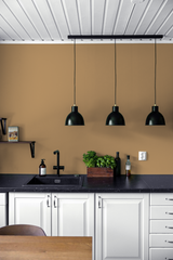 Sorgho - Peinture biosourcée murs et plafonds