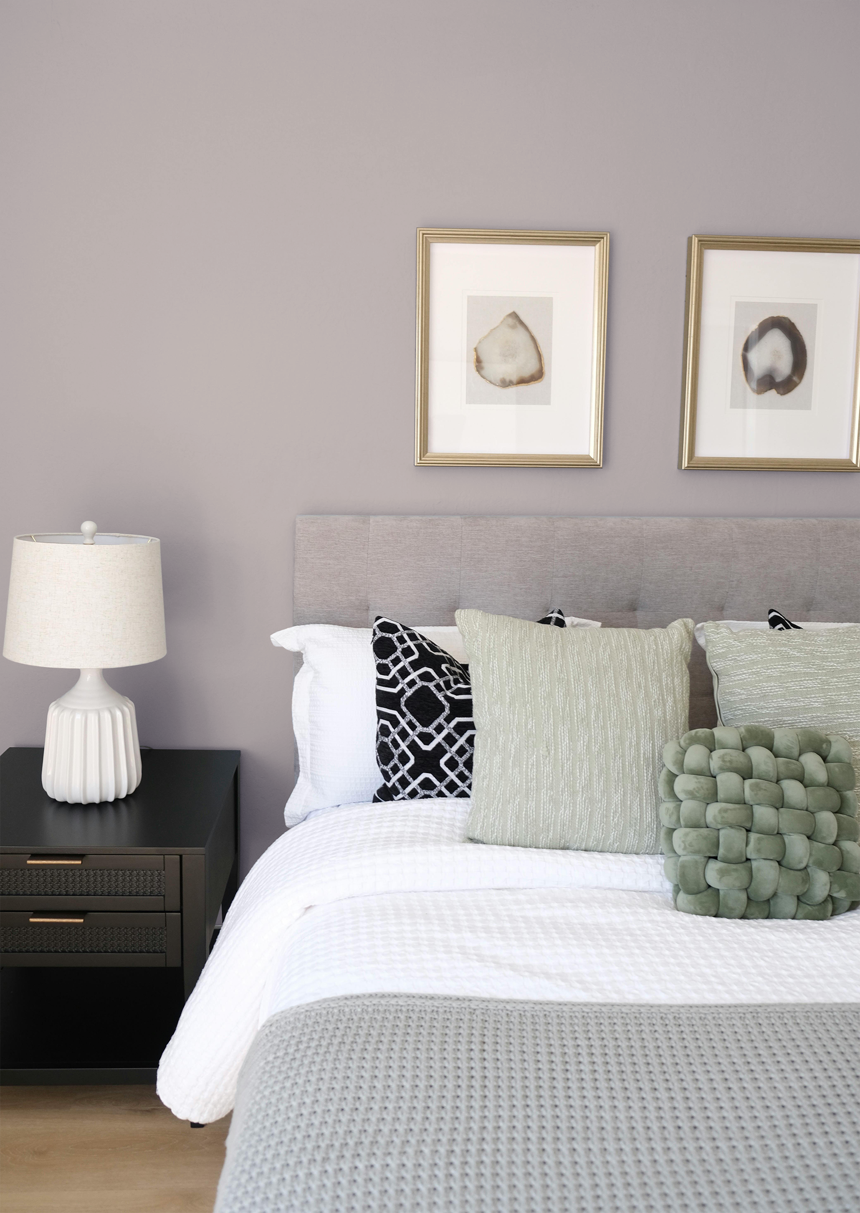 Céramine - Peinture biosourcée murs et plafonds