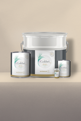 Barbotine - Peinture biosourcée murs et plafonds